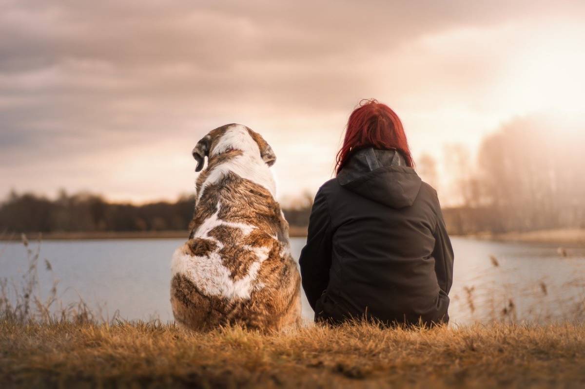 magnifique photo chien et son maitre